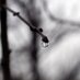 Jason M. (@nomotivphoto) Twitter profile photo