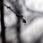 nomotivphoto's profile image