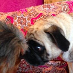 mareswares's profile picture. 