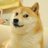Doge