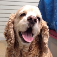 Elizabeth (@lcphoto13) 's Twitter Profile