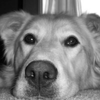 Mentally Strong (@mentallystrong) 's Twitter Profile