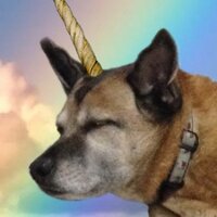 nyvelocity (@nyvelocity) 's Twitter Profile Photo