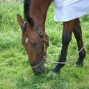 Sylvie Côté - @Monbliss123 - Twitter