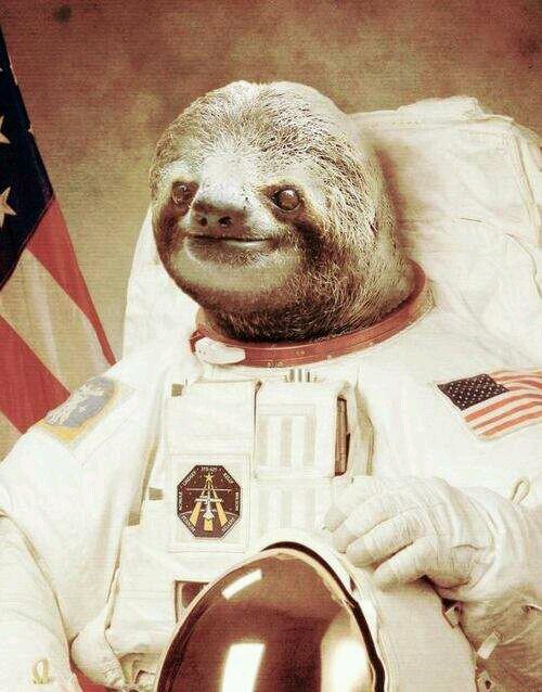 I am a COD player who wrecks scrubs and loves sloths.  ;)