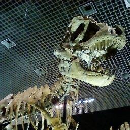芸術、科学、文化　etc.　色んなことに興味があります。
最近は、愛する日本の将来に危機感を強く持ち始めました。
伝統破壊のグローバリズムは反対。
　多文化共生❌　多文化尊重⭕
　これまでフォローして下さっていたかた、政治的なコメントが多くなるかもしれませんがごめんなさい。