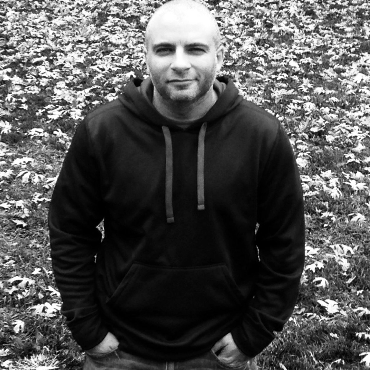 Excise246's profile picture. 