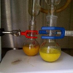 Doctora en Ciencias Químicas. Profesora de la UAC. Divulgadora de la ciencia. Investigadora de tiempo completo.