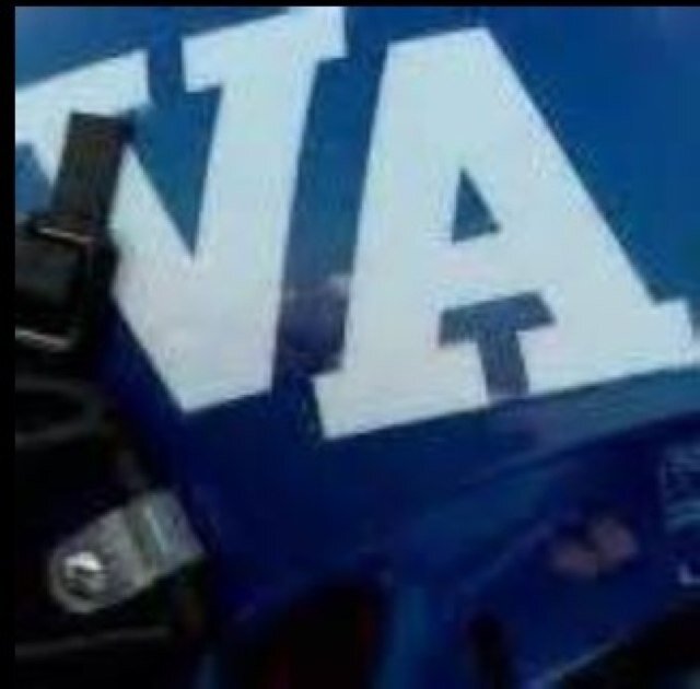 VAN ALSTYNE PANTHERS