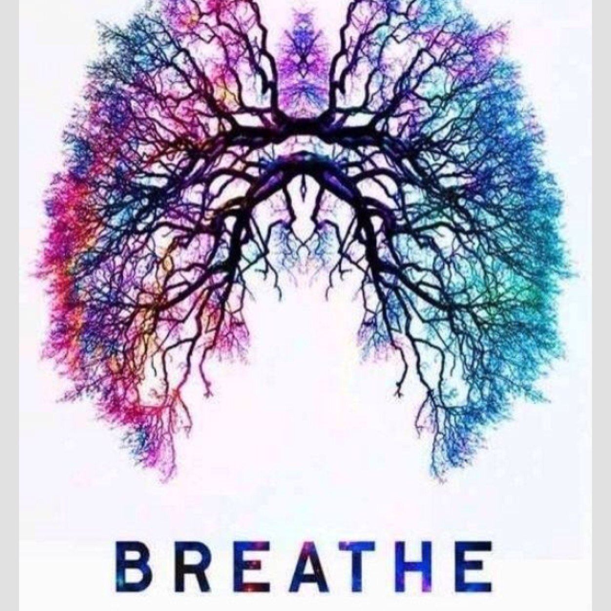 Begin_Again_'s profile picture. 