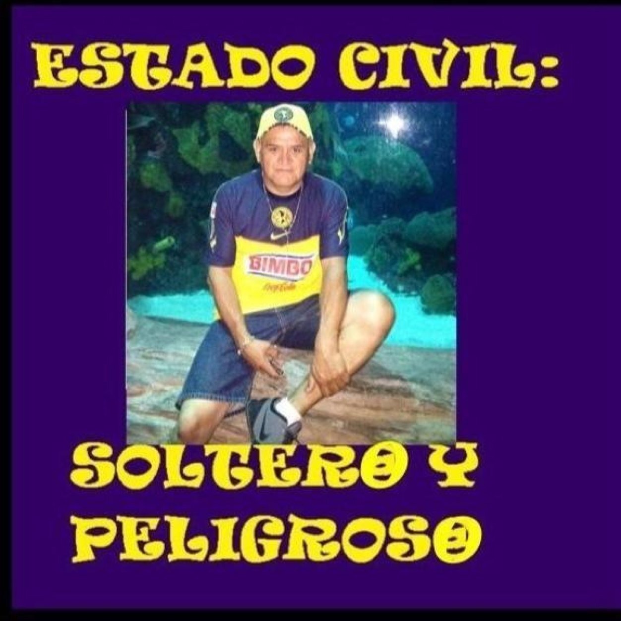 ascencionramir7's profile picture. 