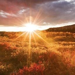 Husband, father, military officer, porn addict.  These are the chronicles of my journey from the darkness of addiction to the light of freedom.
