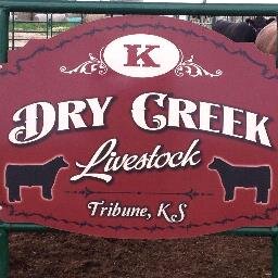 A company designed by our beloved and missed son/brother Gavin B Kleymann. A dream of showing livestock and breeding. I'm a Showman and I bleed Purple!