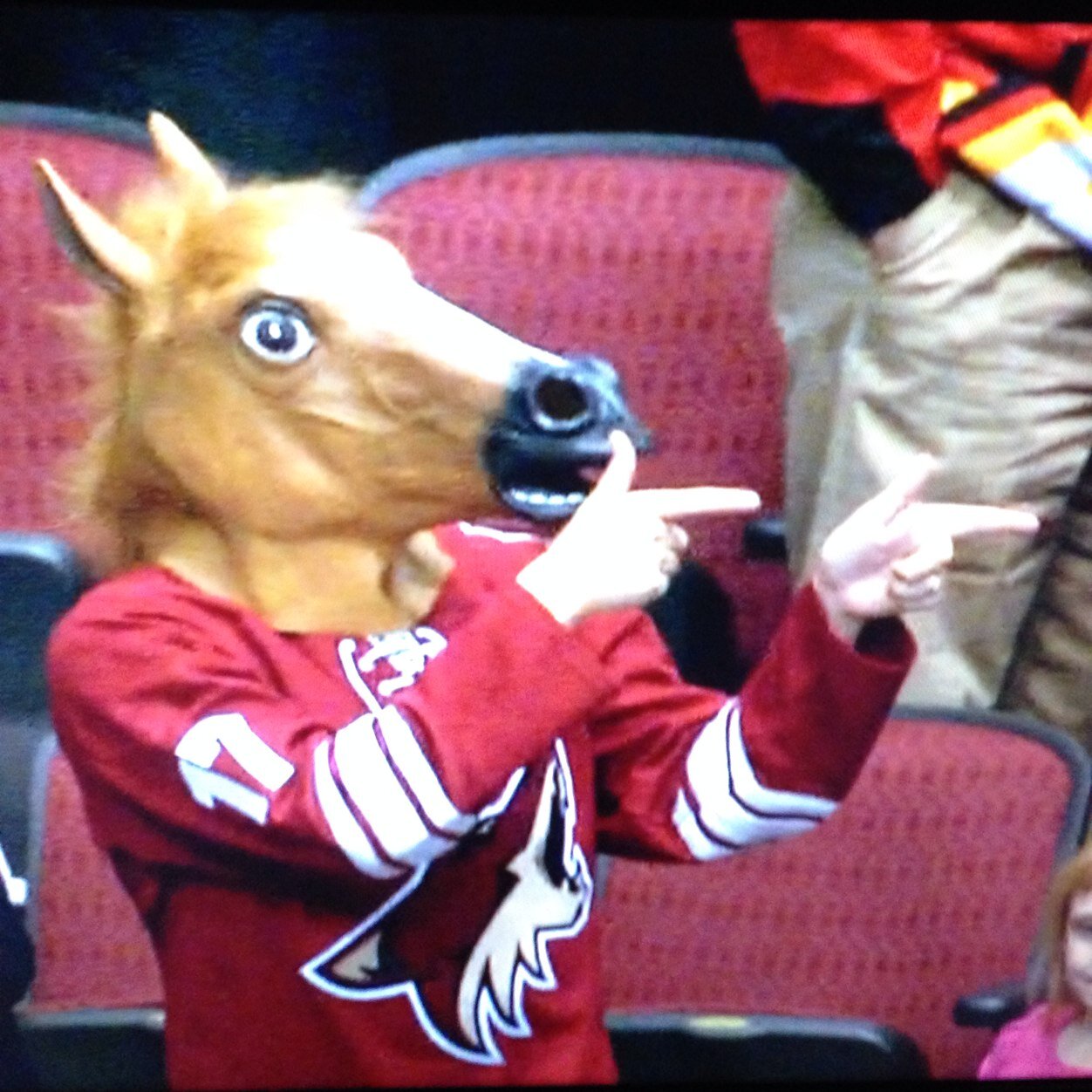 dylanveltkamp's profile picture. #Diamondbacks #Cardinals #Suns #Coyotes #ASU