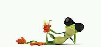 chuchiaraujo's profile picture. 