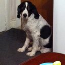 Eve Bélanger - @EBlanger - Twitter