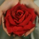 همسة وفاء (@231Amon) Twitter
