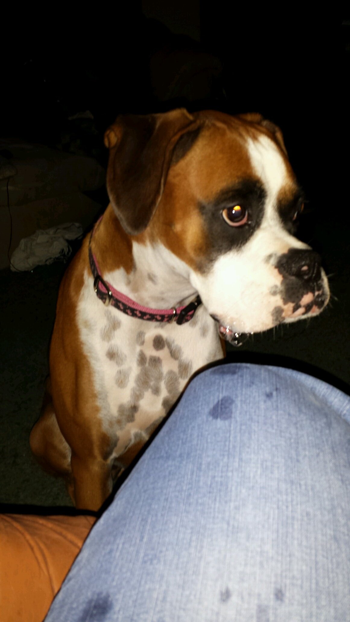 trainer1995's profile picture. #TexasStrong #ArmyBrat #ArmyWife #NavyMom #ProudDisabledVetWife #BLM #Unity #Compassion