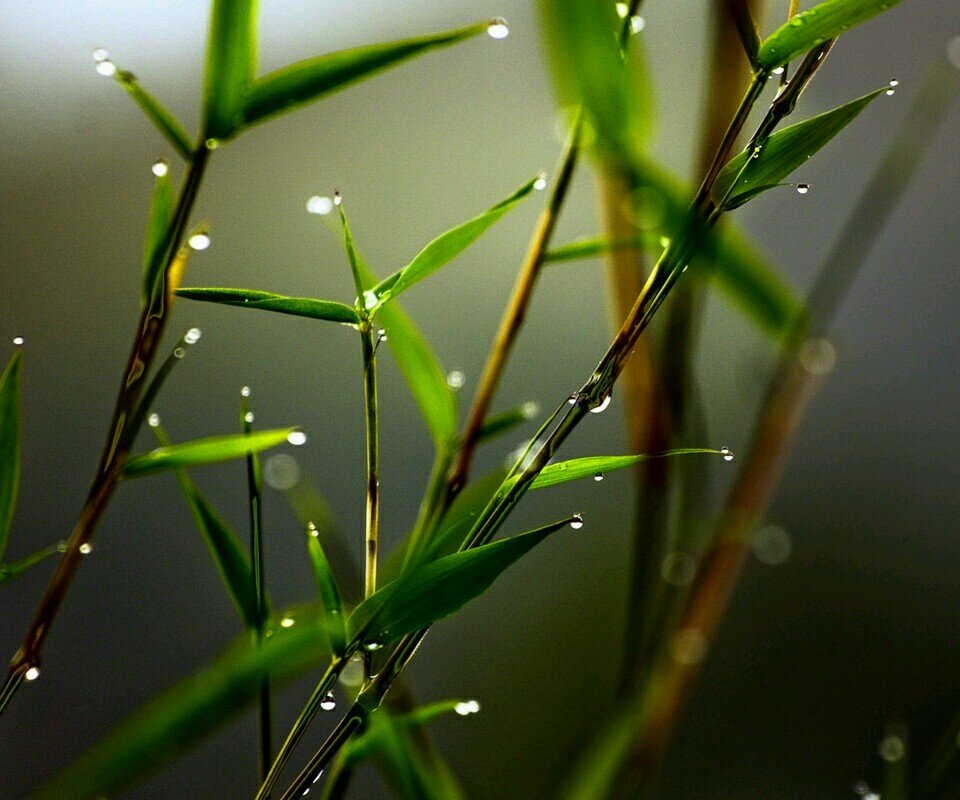 moizrafiq786's profile picture. 