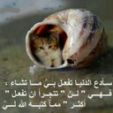 الاسمري (@0533Jokr) Twitter
