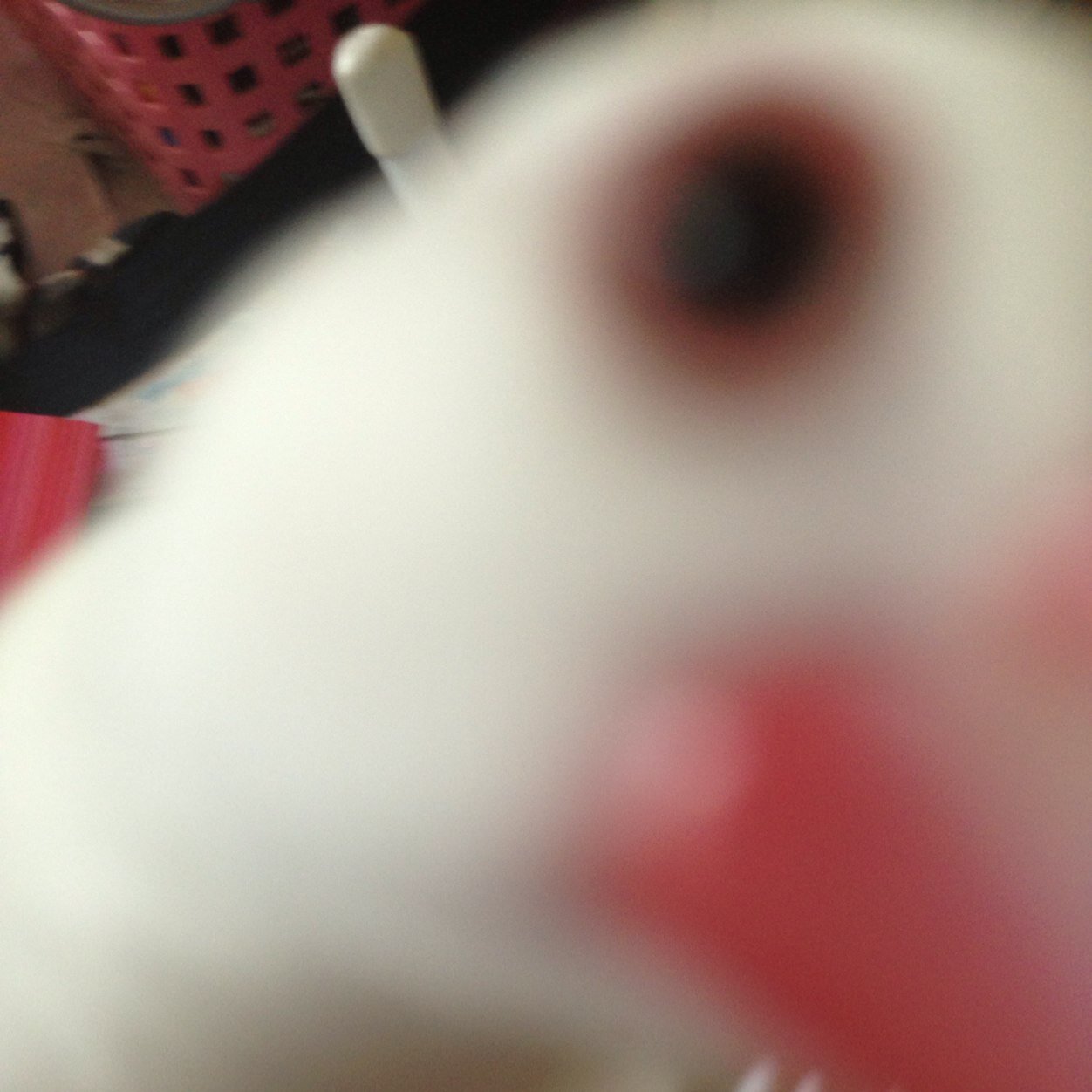 W(`0`)Wうぉおぁあぃおぅおぁぁぉわぉぁあ！？ ϵ( 'Θ' )϶ぎょぎょゆがうぐぎゅぎぃぁごぐぎょ！？ ∧( 'Θ' )∧ ぴょぴよーん！
