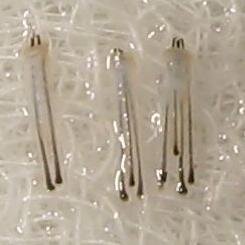 myhairclinic1's profile picture. Dr. Hussain offers a free consultation in Denmark, Norway and Pakistan