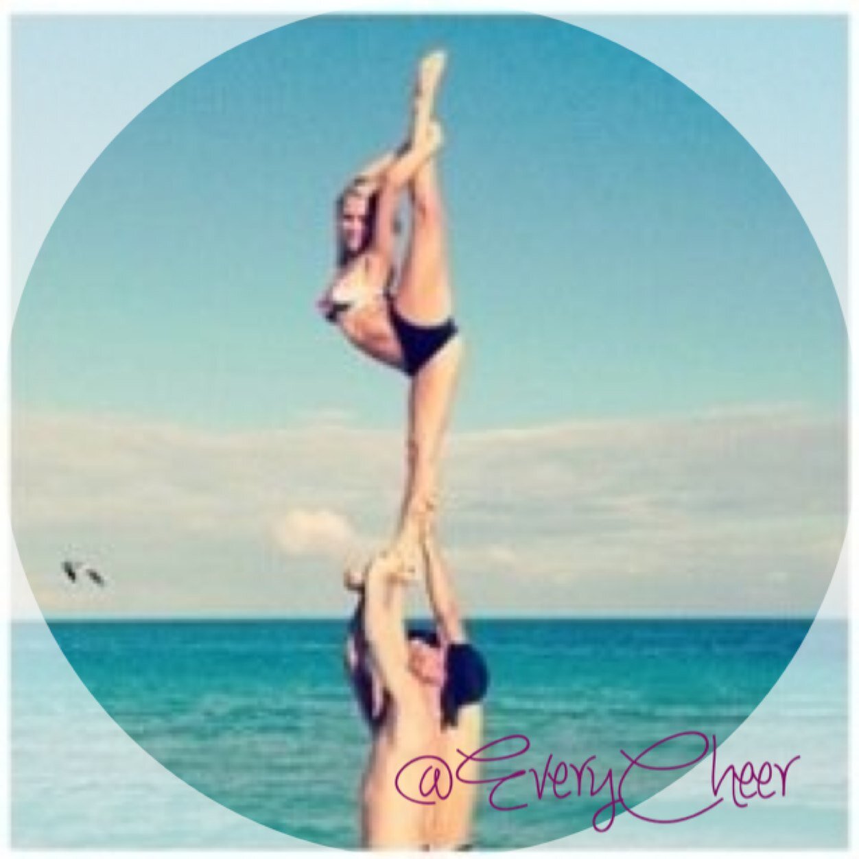 EveryCheer's profile picture. ✨ est. 12/29/13 ✨