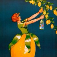 Margo (@margo) 's Twitter Profile