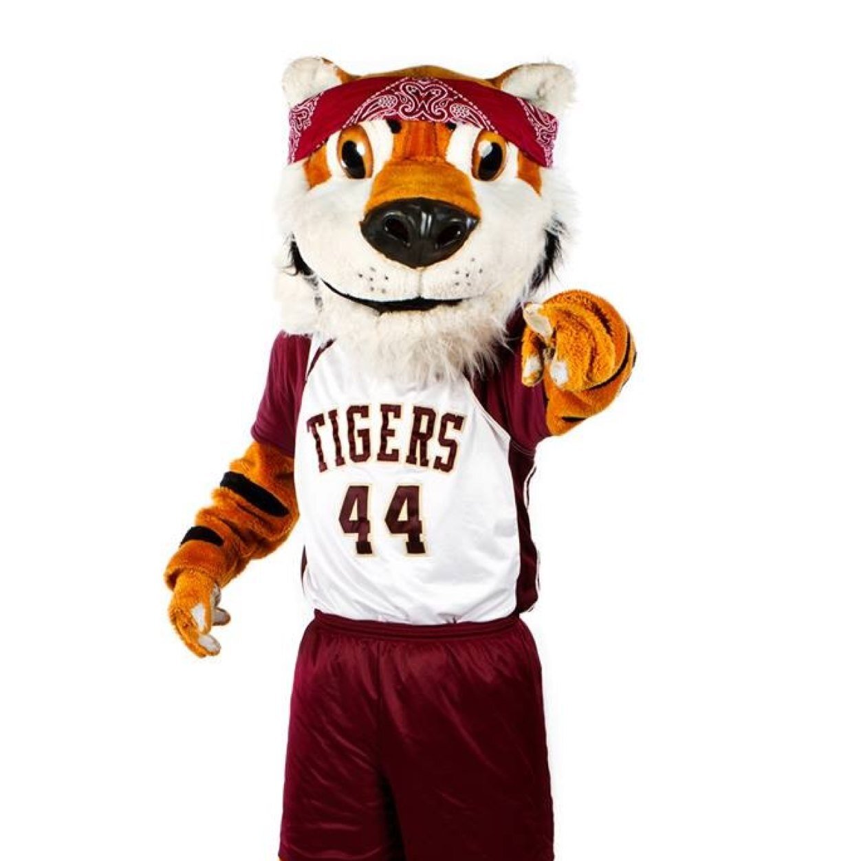 TITOistheTIGER's profile picture. IM TITO TIGER DSHS MASCOT LEAVING MY PAW PRINT WHERE EVER I GO!!! DS AND BEYOND #titonation #titotuesday