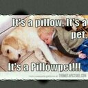 tom bent  - @tombent92 - Twitter