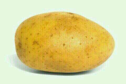 The official potato fan page