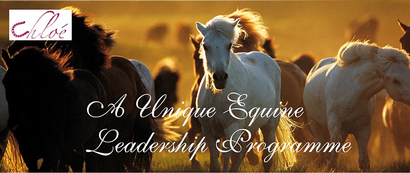 ChloeConsult's profile picture. 