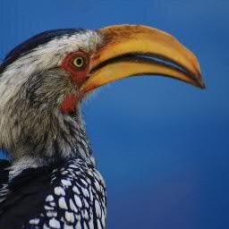 zubkovv1's profile picture. 