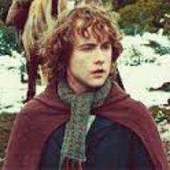 Peregrin Took is my name. I was A member of the Fellowship. Son of Paladin Took II and Eglantine Banks, from BuckLand Best friend of Merry.