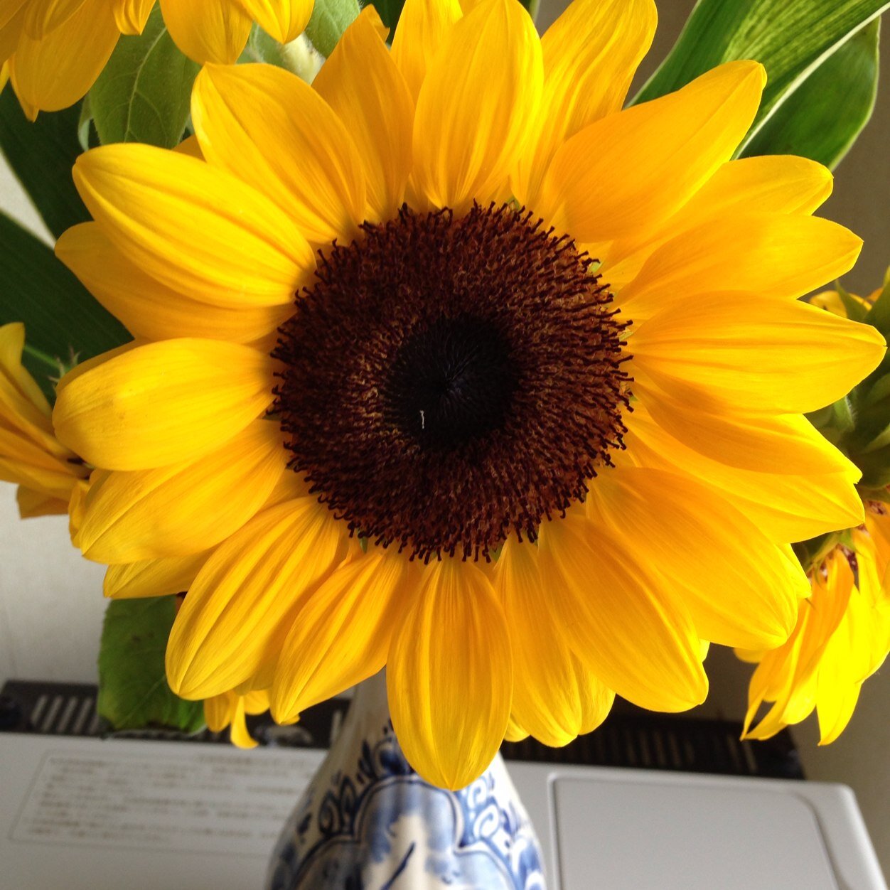 aismile928's profile picture. 