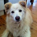 Sarah Ashcroft - @AshcroftSar - Twitter