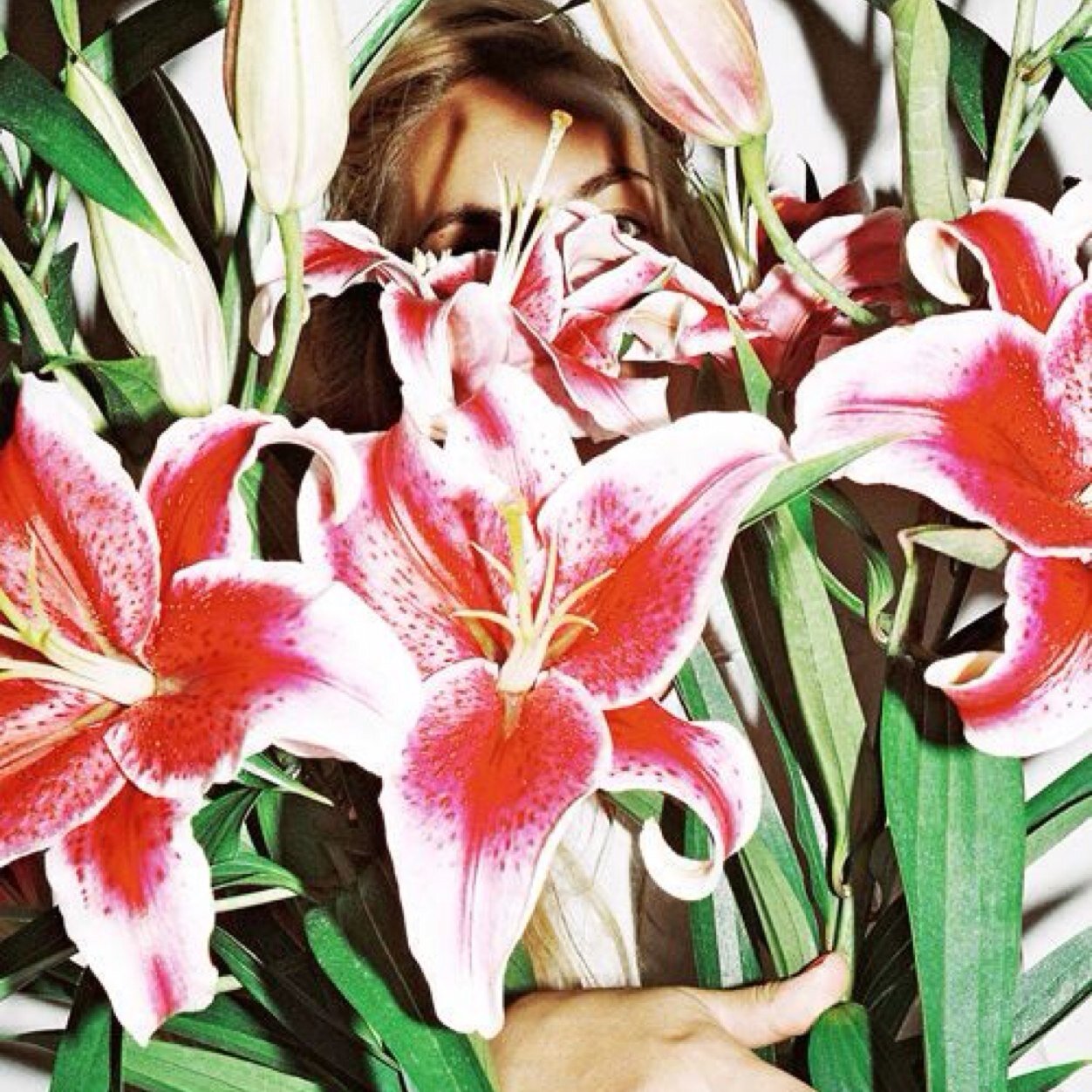 cherielock's profile picture. Creative Director for Champagne Couture & owner of Display Atelier. Follow for style, brand & current street culture news http://t.co/62iWnwYFEa