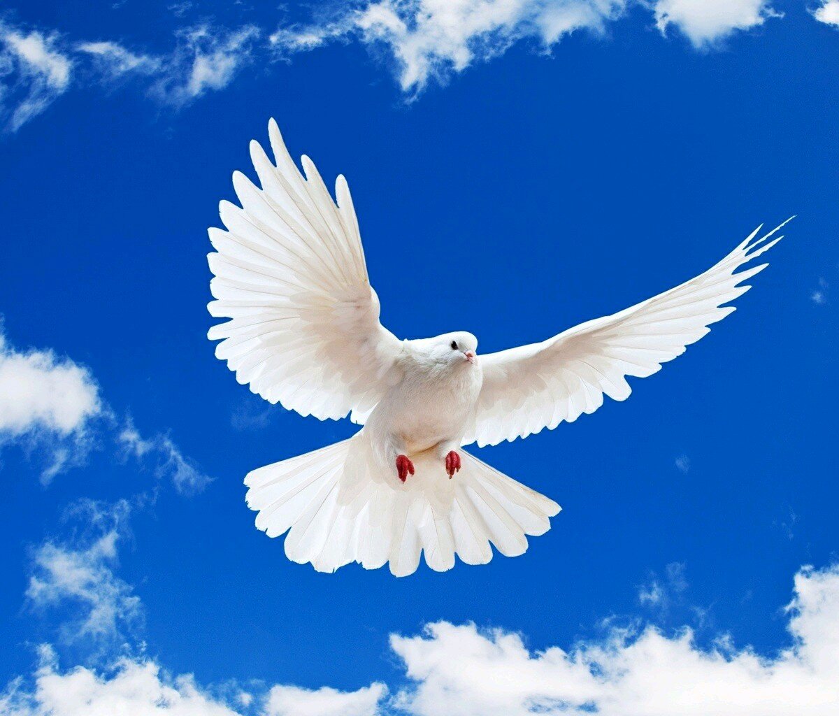 chikka03's profile picture. 