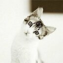 Irene Yan - @VYdraweryc - Twitter