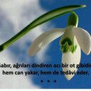 Çay tiryakileri (@001962semra) Twitter