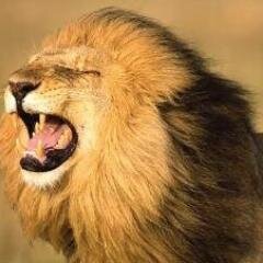 Tours and Travel Agency, Connecting people with memories to Savour!
Nairobi ,Kenya