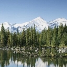 Sandy Navarro Profile