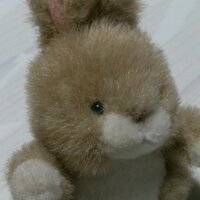 kon-hooke (@kon_hooke) 's Twitter Profile Photo kon-hooke (@kon_hooke) 's Twitter Profile Photo