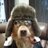 filoppioApache's profile image