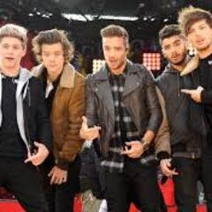 Sou Directioner e Lovatic