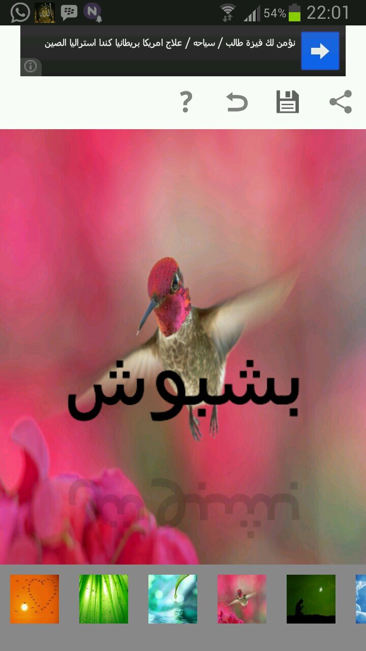 ‏‏‏معلم متوسط متقاعد