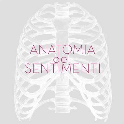 Anatomia dei Sentimenti: 26 racconti + foto in ordine alfabetico per un anno. http://t.co/qtQcjdv2sj