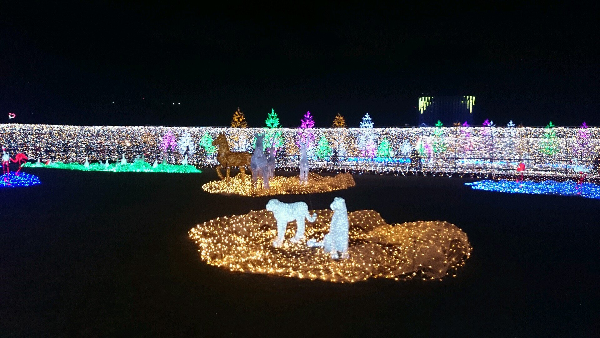 da_mihi_pecunia's profile picture. 好きなことしたくない？