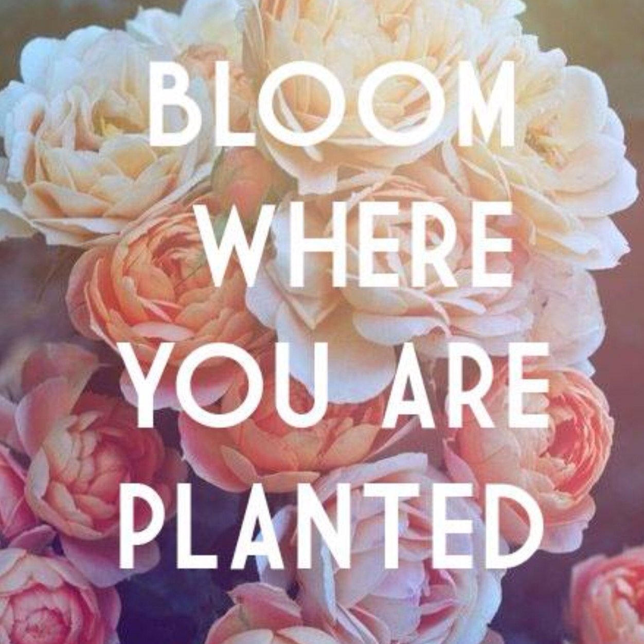 gobluego99's profile picture. Love Ice hockey, Freeblades, Michigan Wolverines, Detroit Red Wings, Jackrussellterrier, Bar(￣▽￣) and my family. Japan