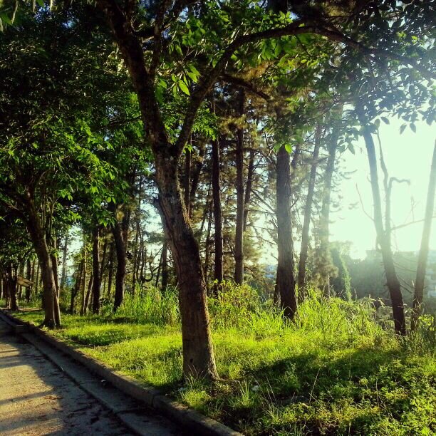 Andre_411's profile picture. 